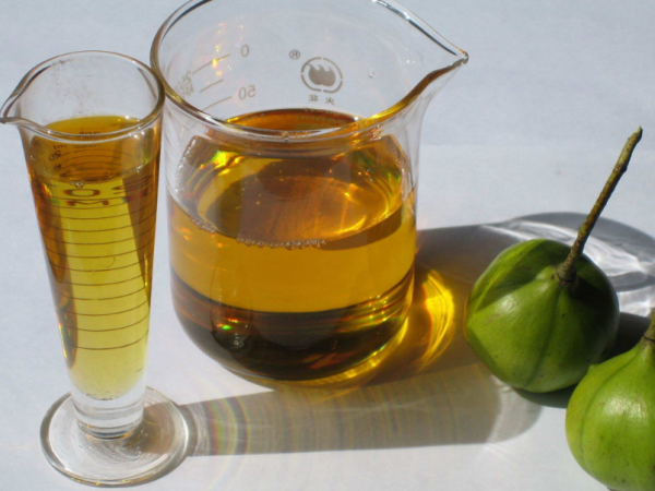 合成油脂