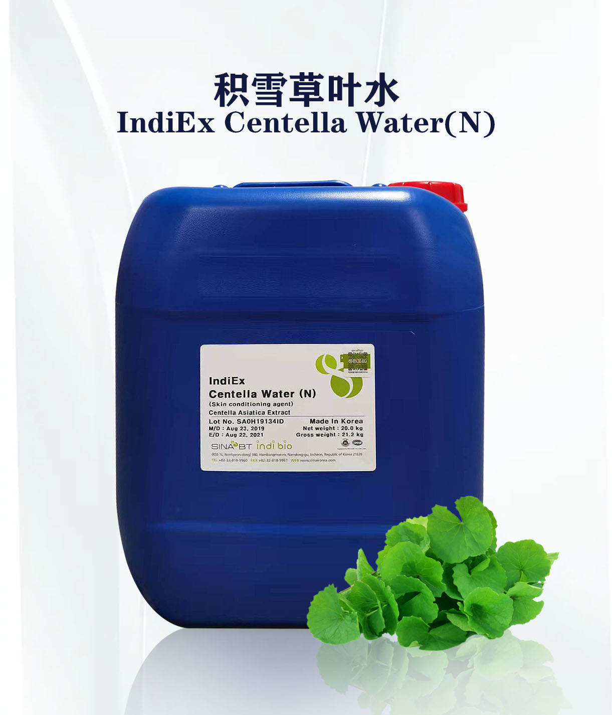 積雪草葉水